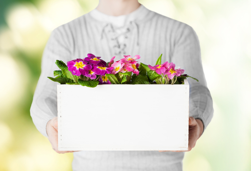 business blog