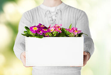 content marketing - business blog - business blog content - blog writing
