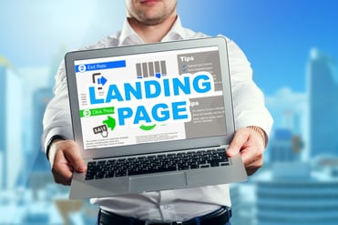 landing page content - google panda update - quality content